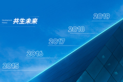 发展历程